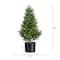 2ft. Potted UV Resistant Rosemary Cone Topiary Tree
